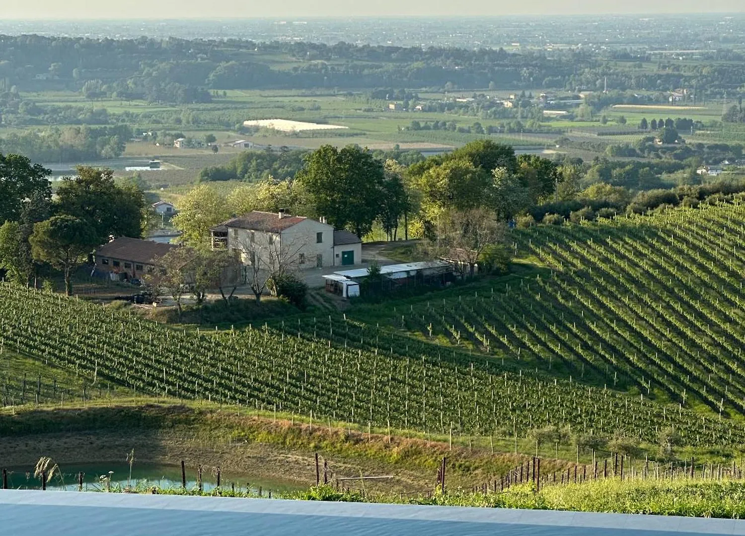 Podere Mantignano 2 Faenza Lejlighed